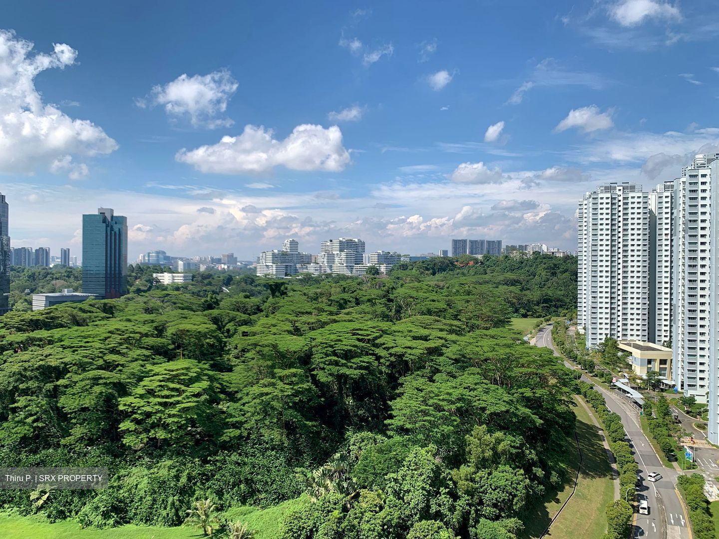 Blk 80A Telok Blangah Towers (Bukit Merah), HDB 4 Rooms #446385001